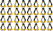 Viele viele viele kleine Pinguine ...